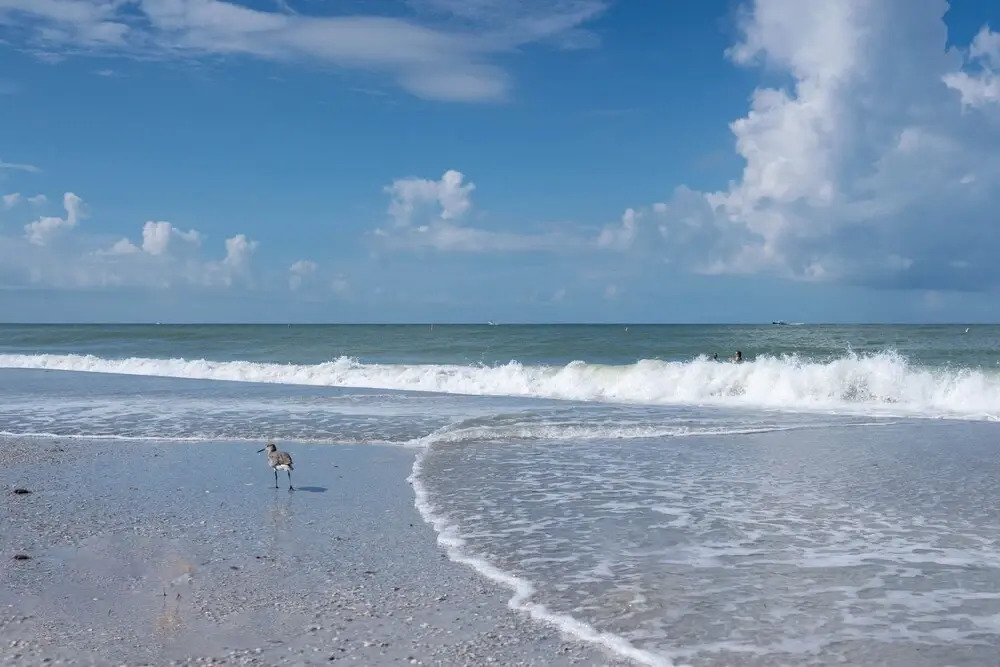 Silver Sands