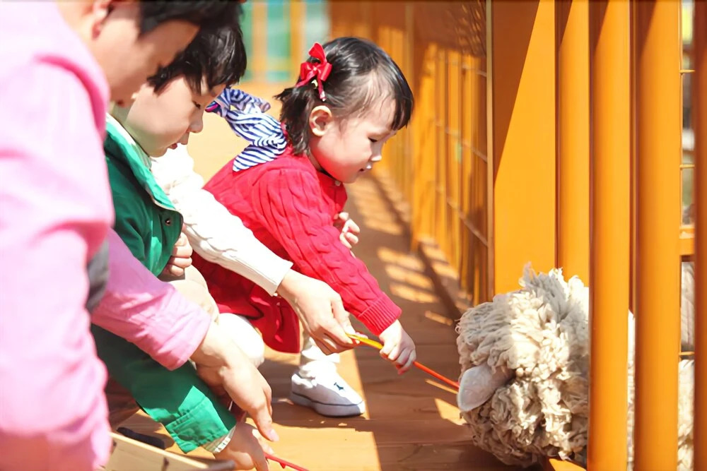 Jebudo Animal Café and Pension