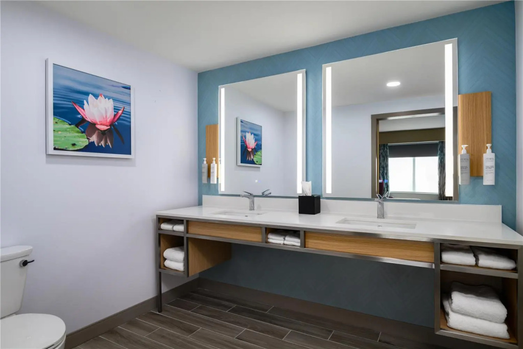 Hilton Garden Inn Orlando I-4 Millenia Blvd Mall