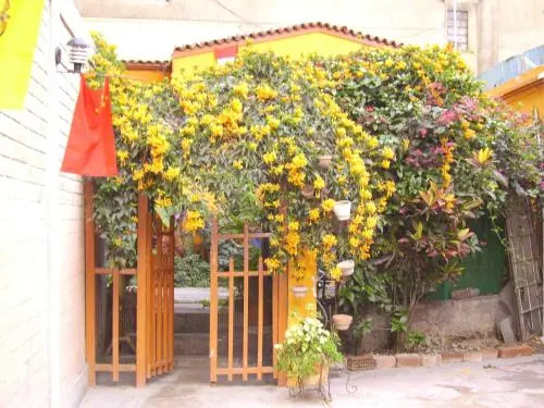 151 Backpacker Hostel B&B