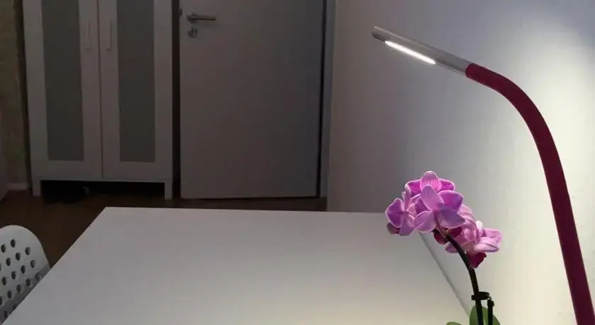 Privatwohnung Wang