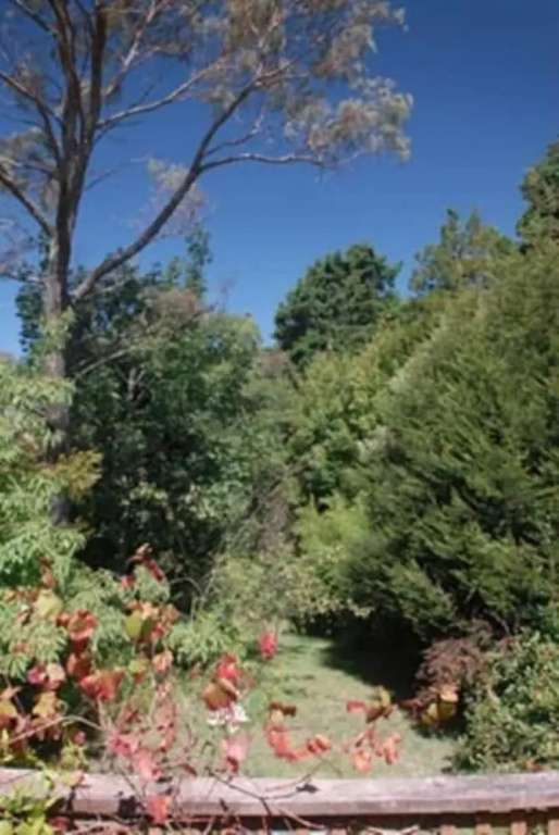 Leura Lady