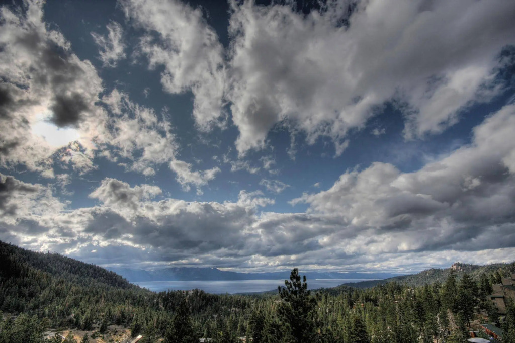 The Ridge View