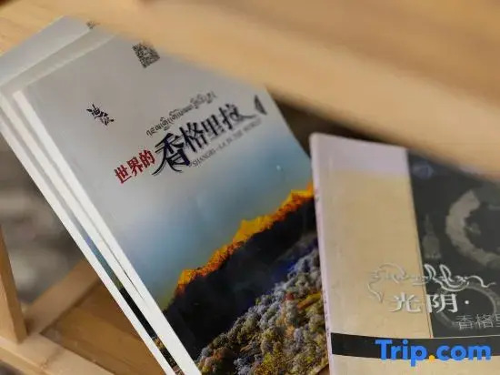 Qianyi Audio-Visual Oxygen Supply Travel Photography Boutique Hotel (Dukezong Ancient City)