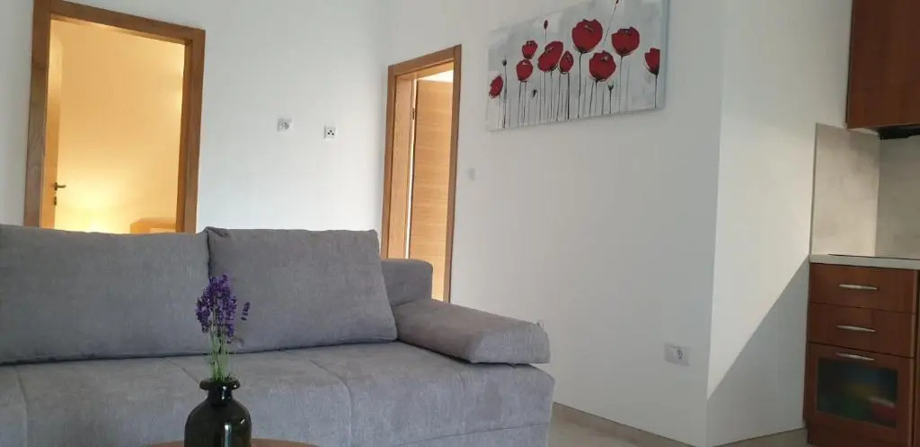 Apartments Cocaletto5