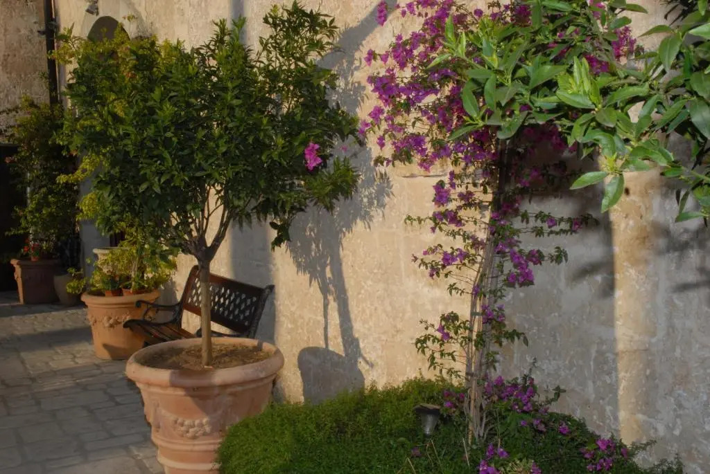 Castello Conti Filo