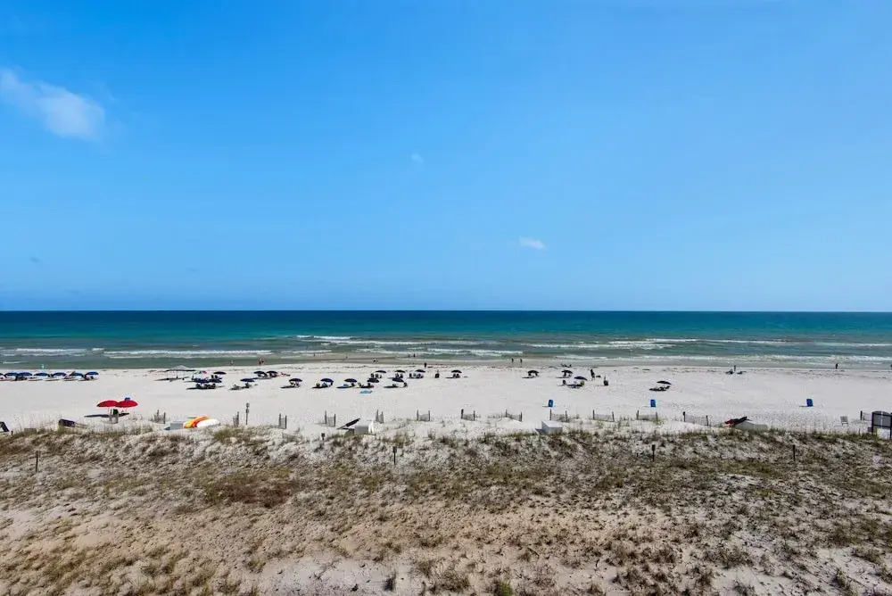 Pelican Isle 411