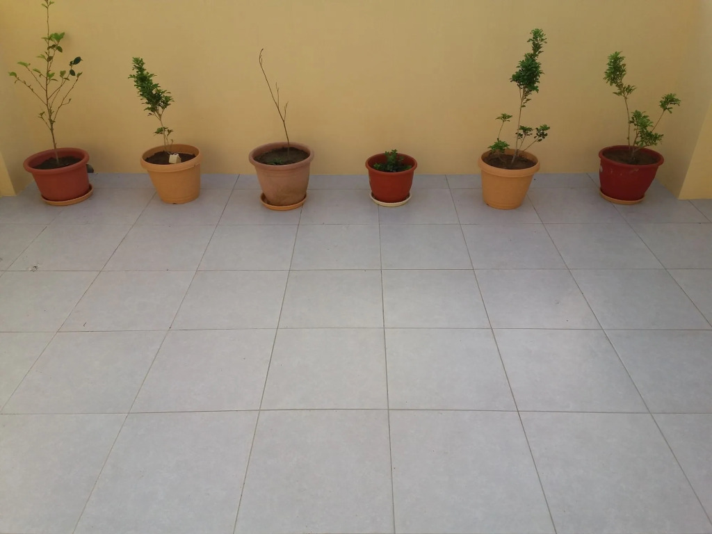 Heart Clear Good Homestay