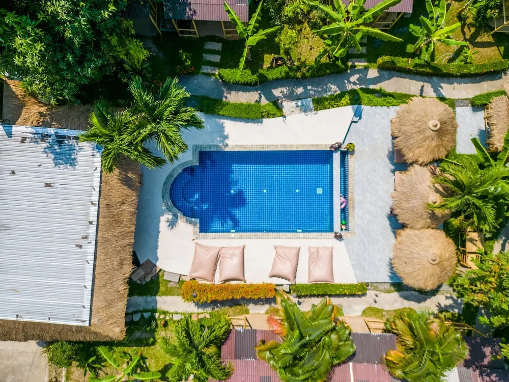 Avocado Koh Samui
