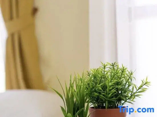Tofu House CNX Near Nimman- Airport 4 bedroom 6 bed with 3 Bath Room