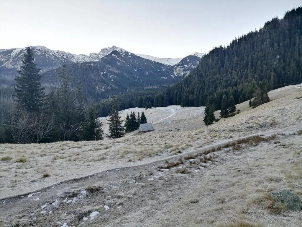 Apartamenty Zakopane U Kośle 2