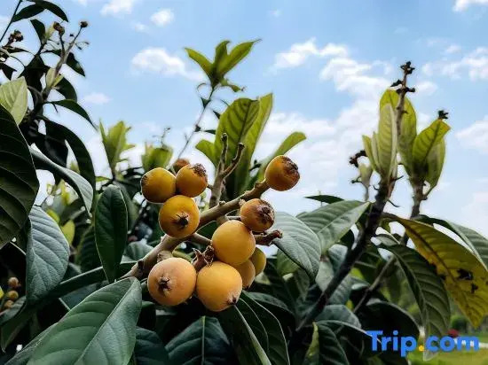 Pushu B&B