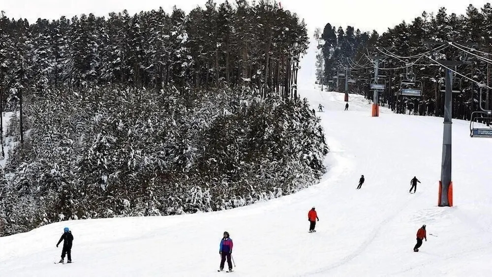 Sarikamis Kayi Snow Otel