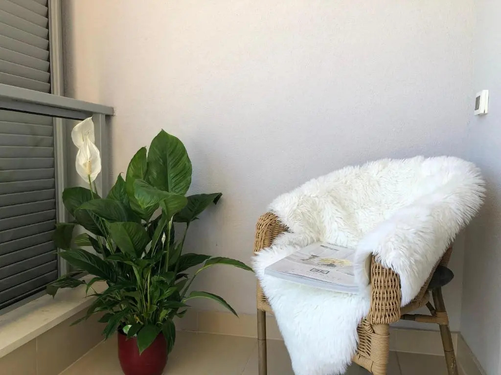 Apartment Charming
