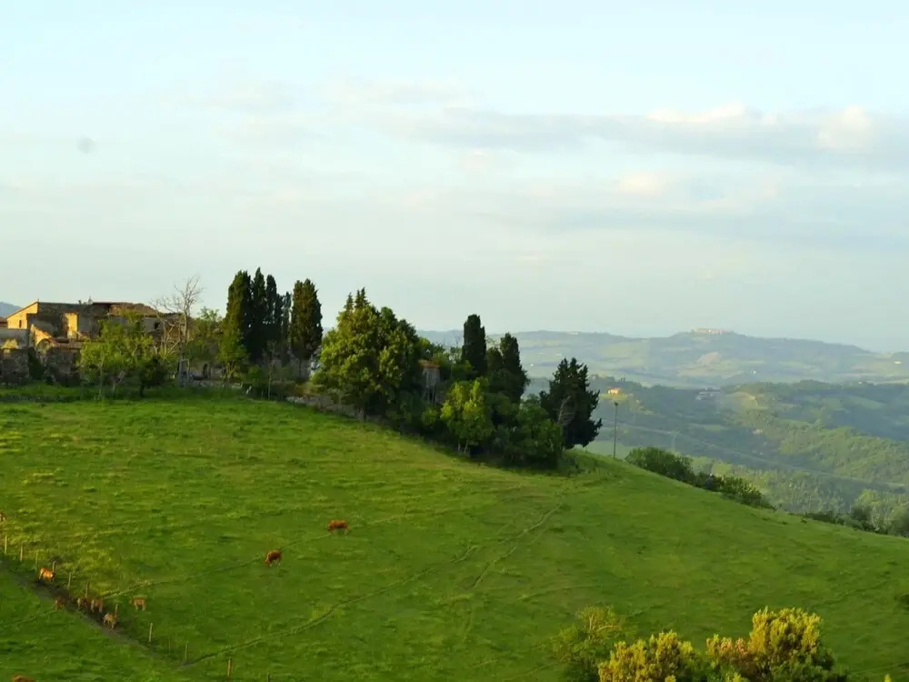 In a wonderful medieval village on the Tuscan hills, with air conditioning