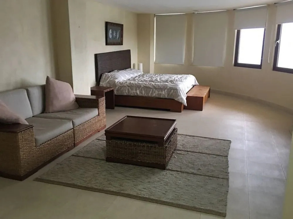 Palmetto Ixtapa 313
