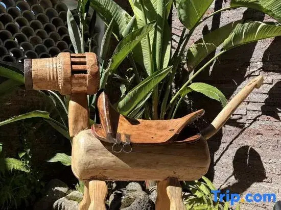 Hot Spring Forest Healing Art Homestay