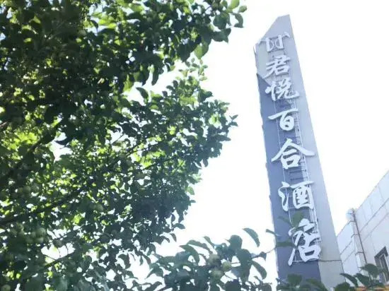 Junyue Baihe Theme Hotel