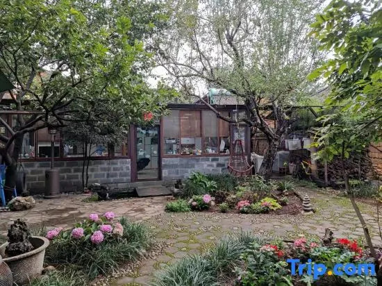 Ziyou Suiyue Design Hostel