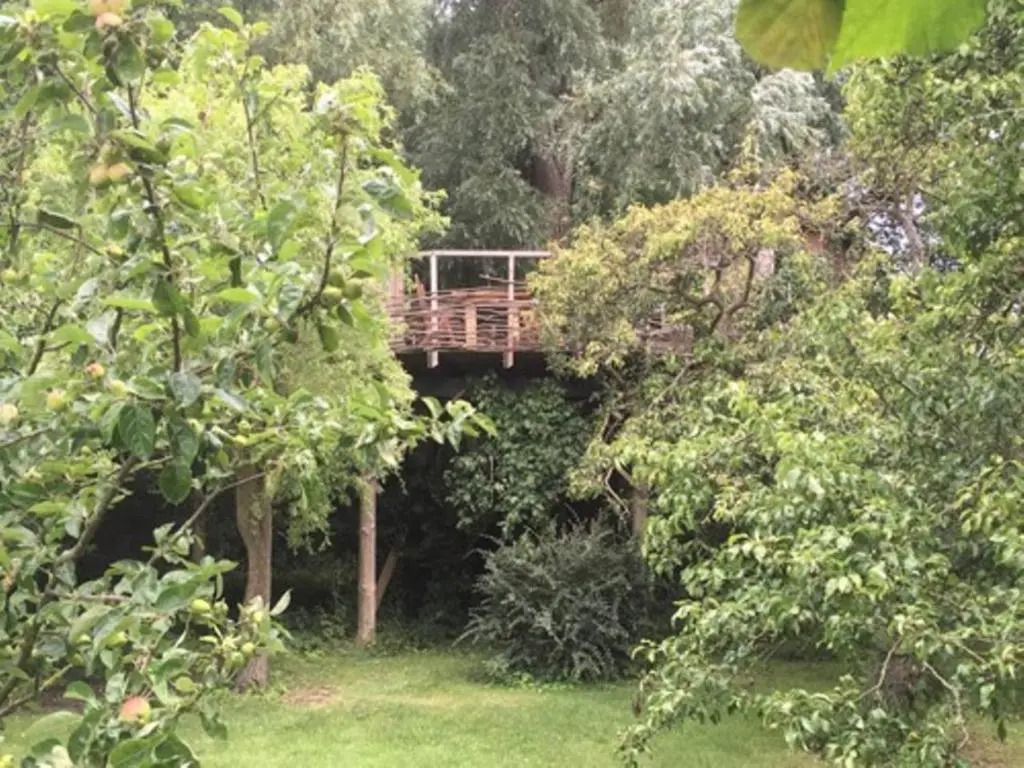 Treehouse B&B