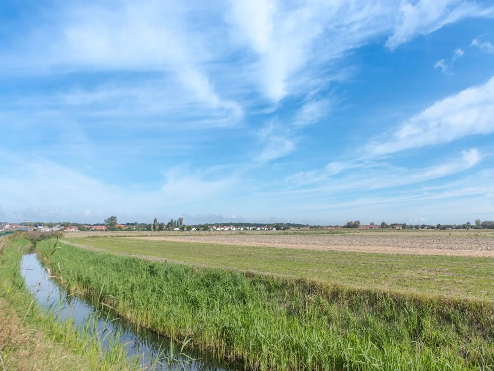 Siena De Haan in De Haan