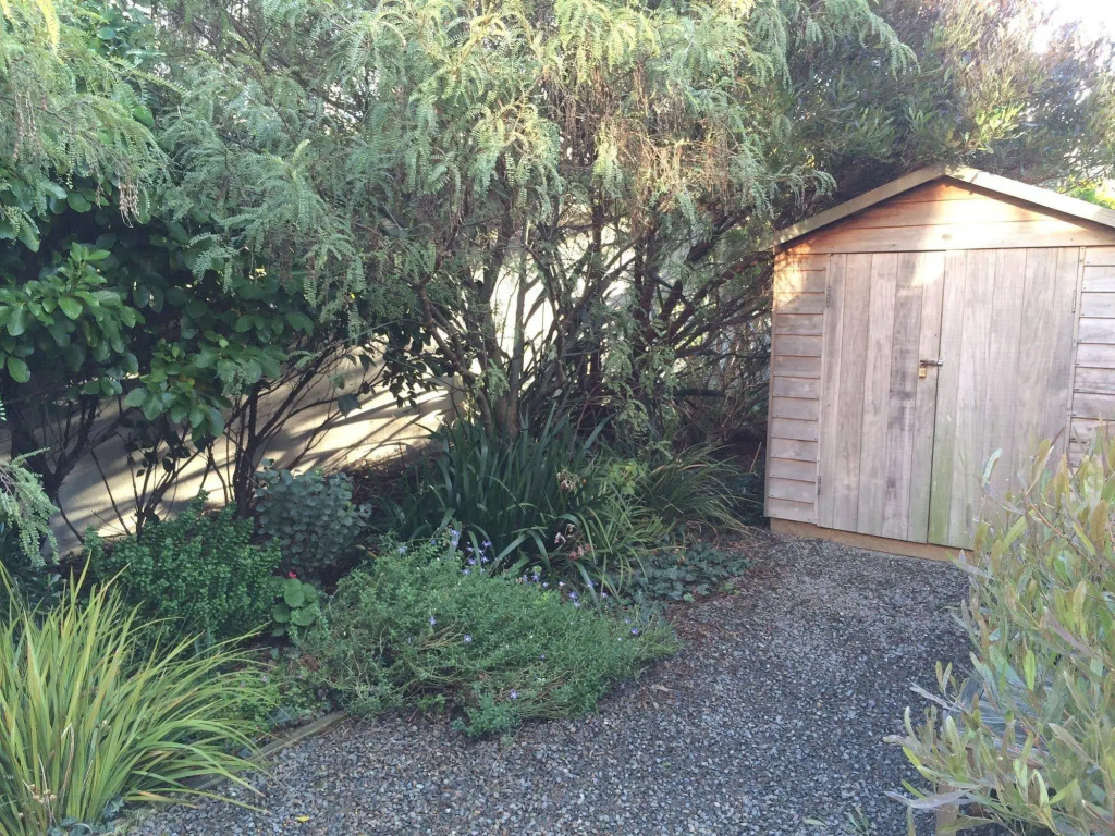 Wellington City Cottages