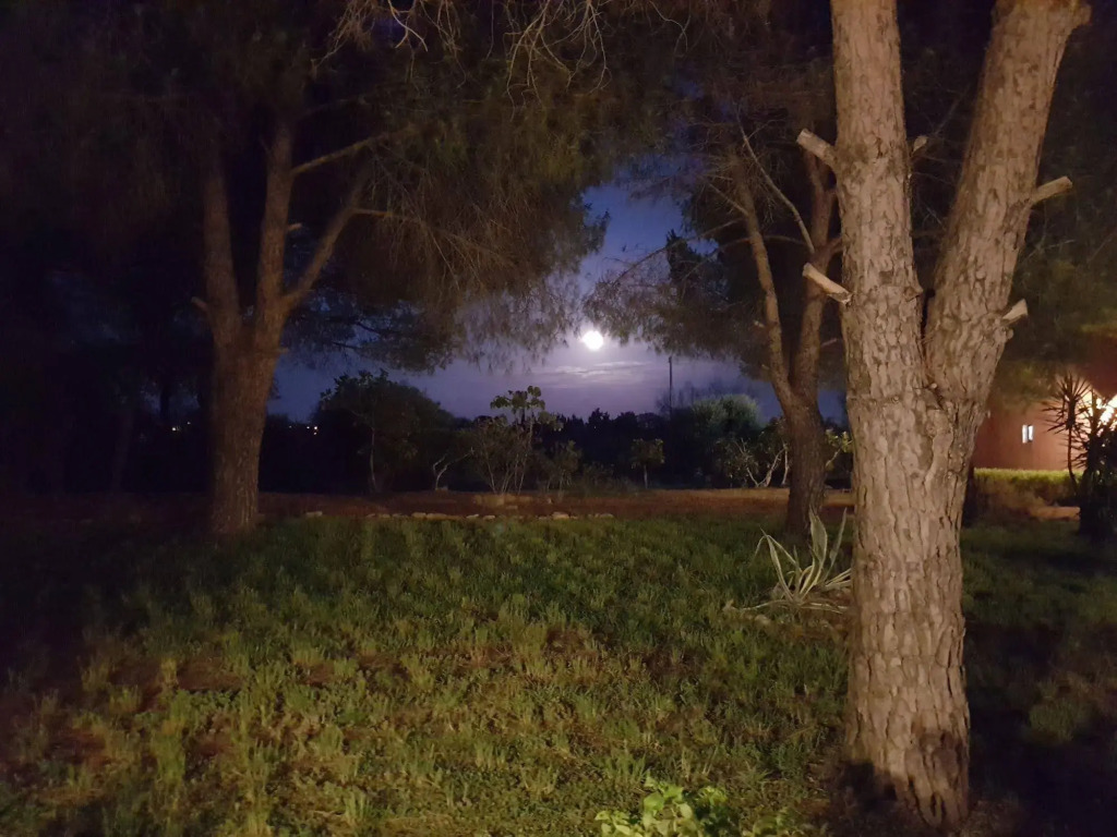Tenuta Doxi