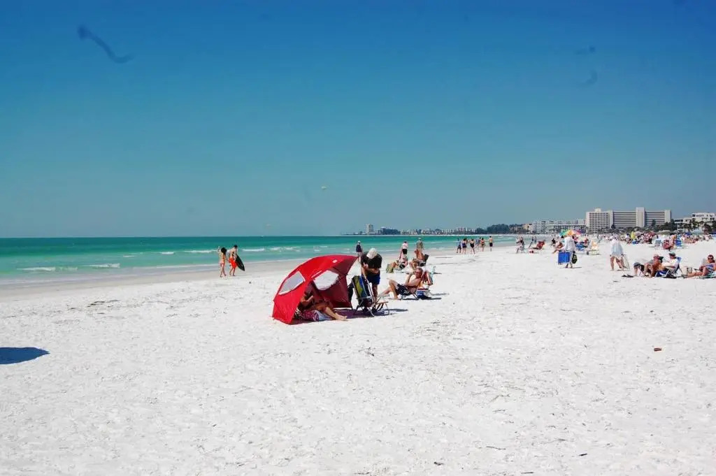 Paradise Heated Pool Home Near IMG and Siesta Key Beach