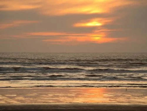 Sandpiper Beach Resort