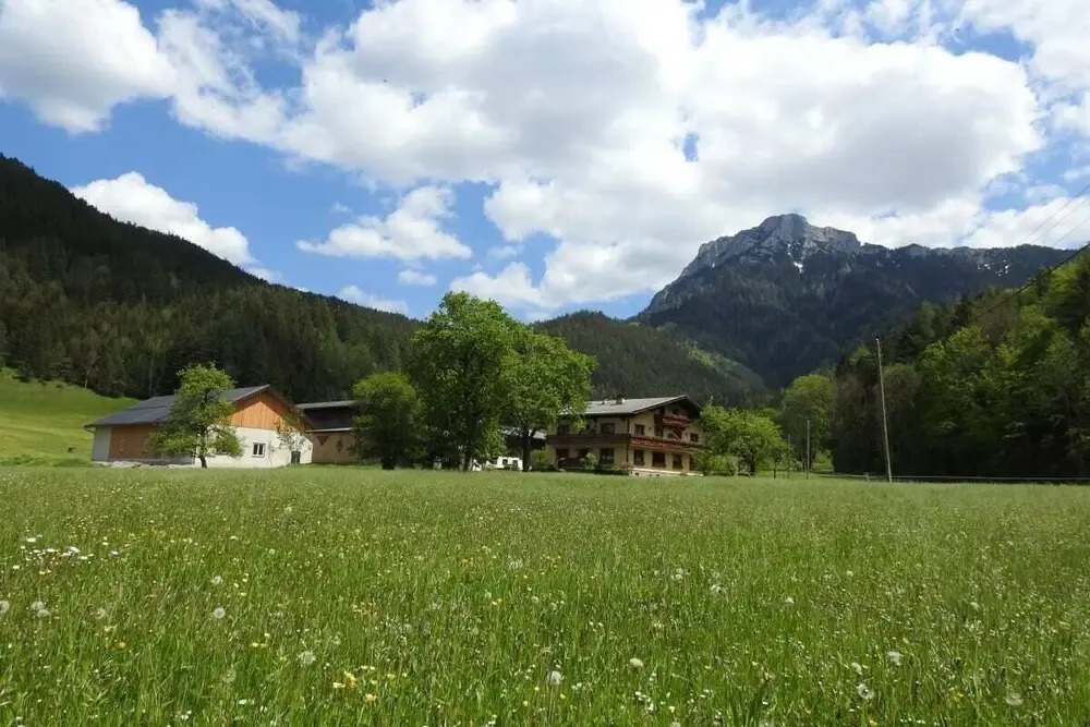 MOAR Sommerauer
