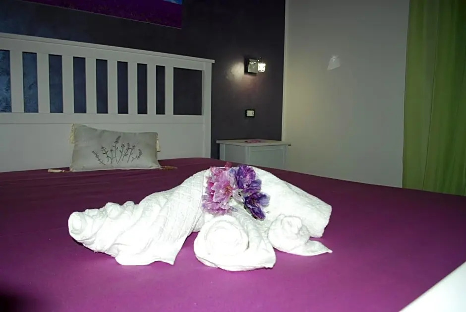 B&B Aurora
