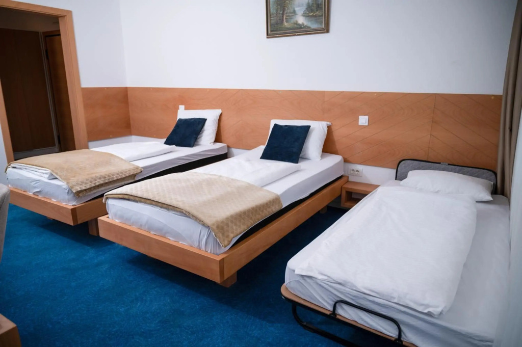 Hotel Borići