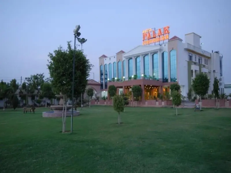 Palak Paradise