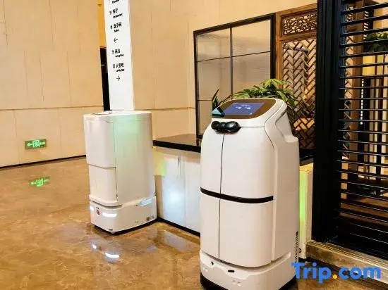 Wingate By Wyndham Changsha Jiaqi Hotel