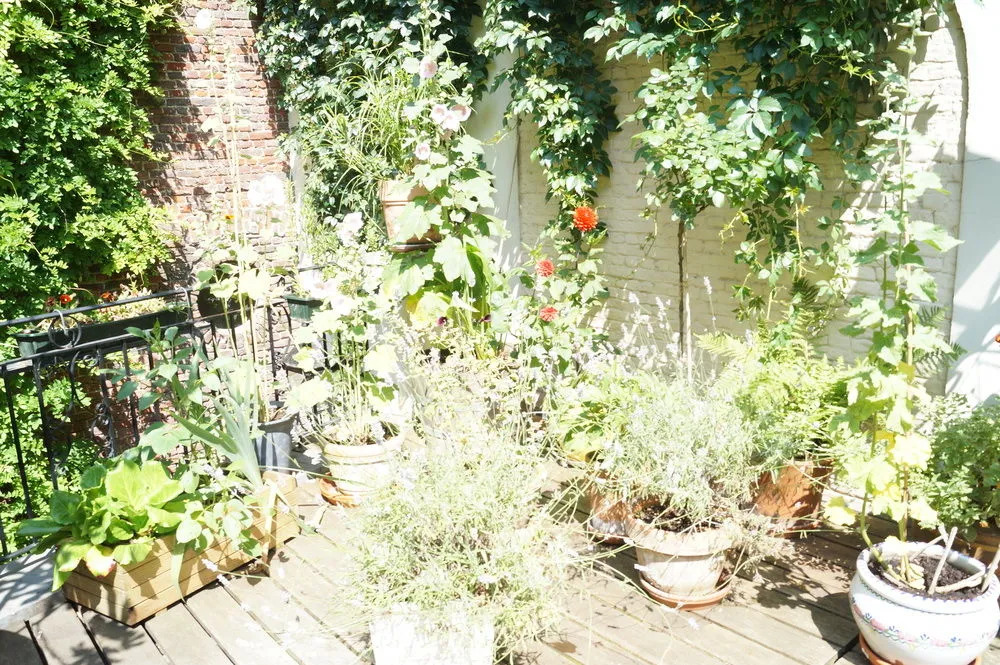 The Captaincy Guesthouse Brussels