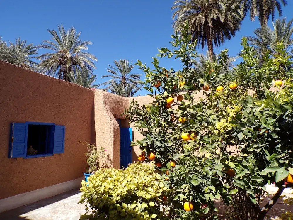La Maison de lHomme Bleu