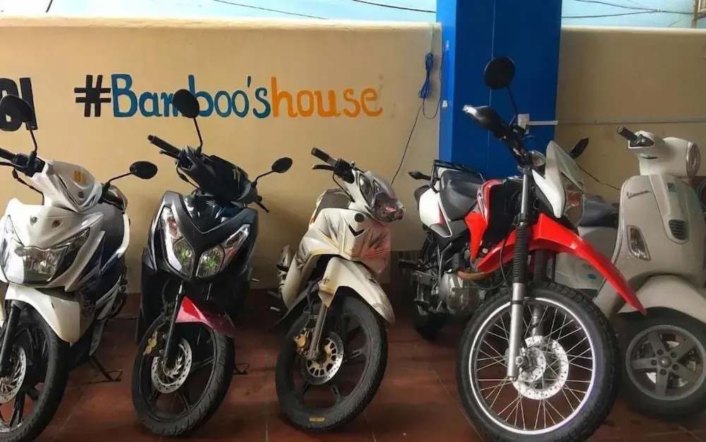 Bamboos House