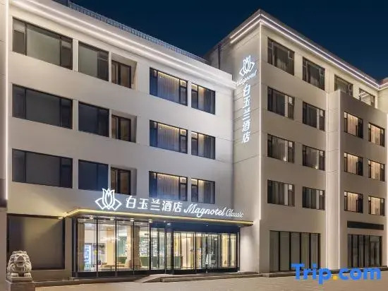 Magnolia Hotel