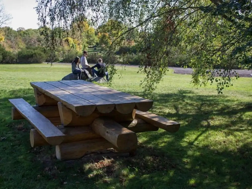 Rêves de Bois