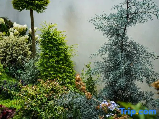 Zhangjiajie Xiwu Homestay