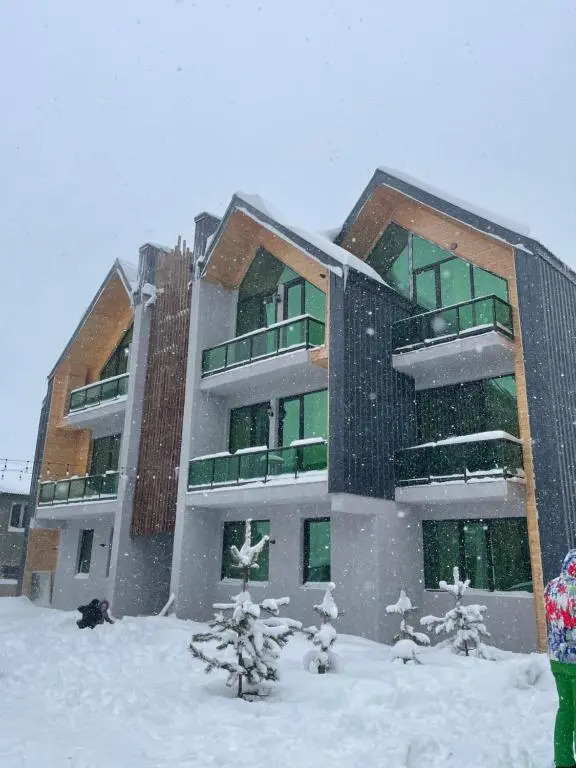 Snow Forest Bakuriani Apartment 17B
