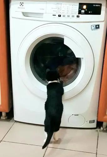 Тапок Хостел