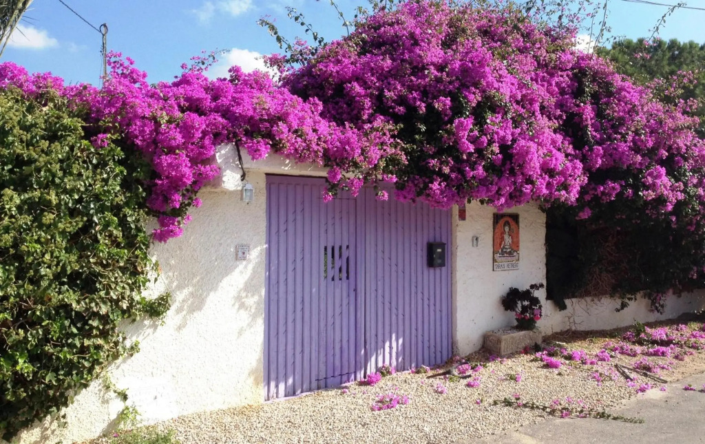 Tara Casa