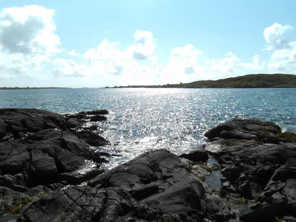 Seafield House B&B