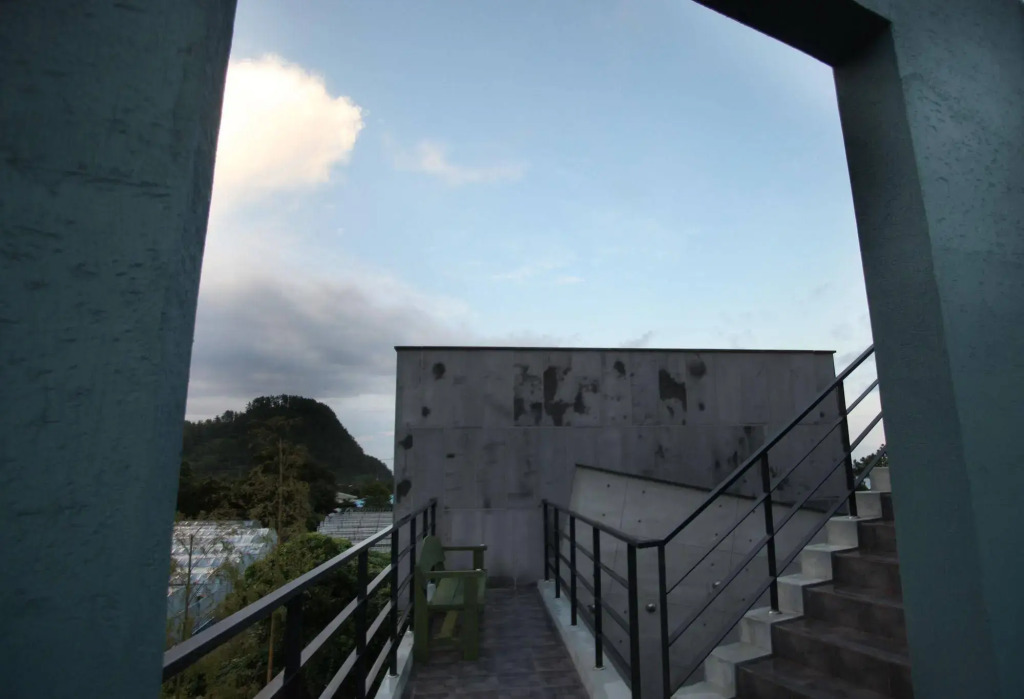 The Cozy in Jeju