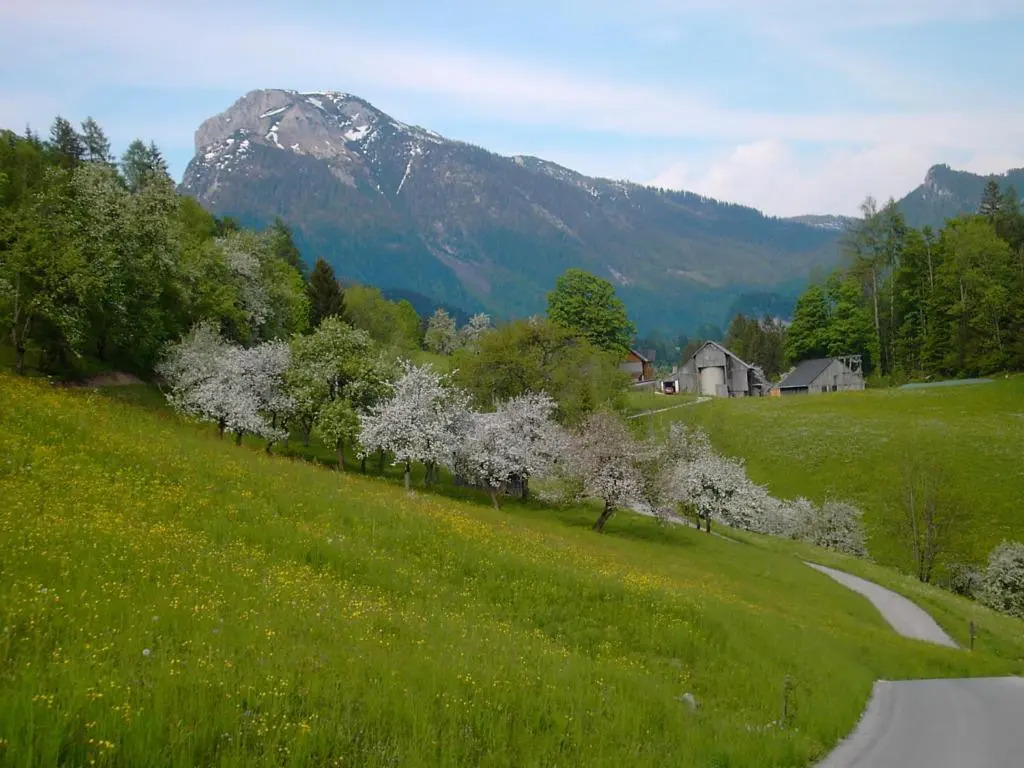 Landhaus Knödl-Alm