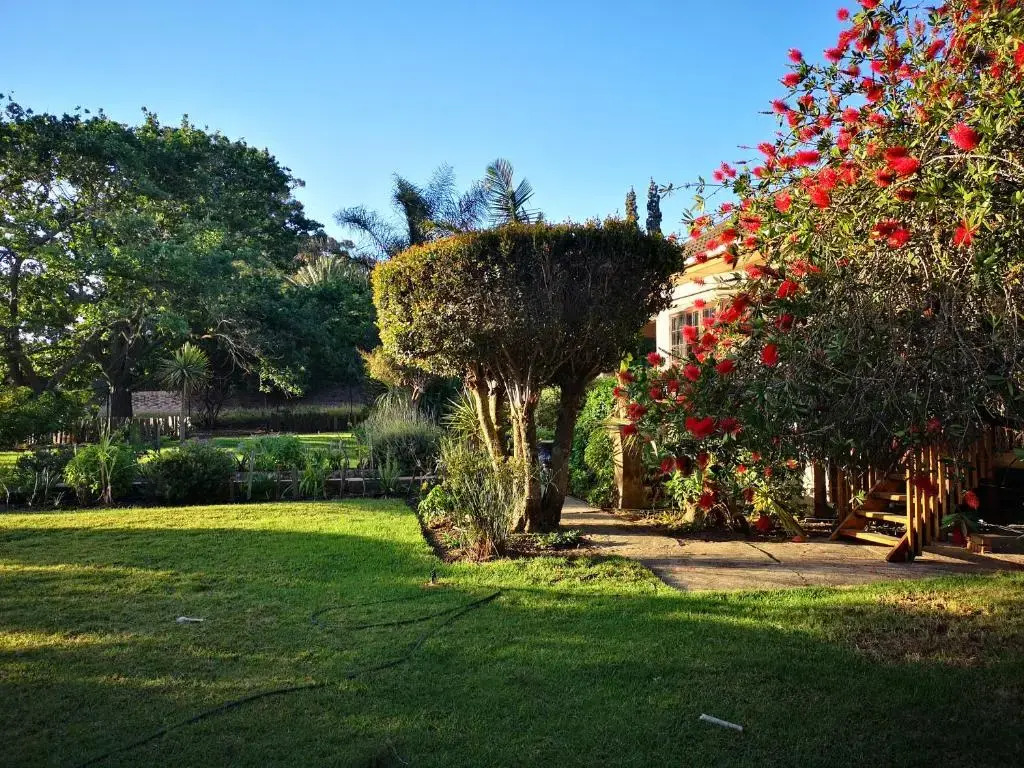 Frieden-Hof Guest Accommodation