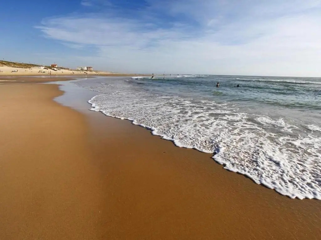 Maison T2 cabine à Biscarrosse Plage, proche des commerces et de la mer - FR-1-521-90