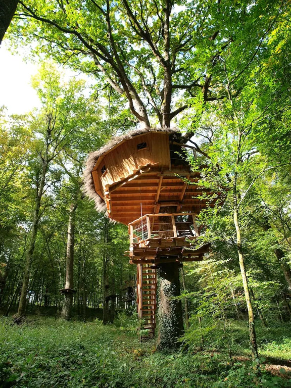 LArbre à Cabane