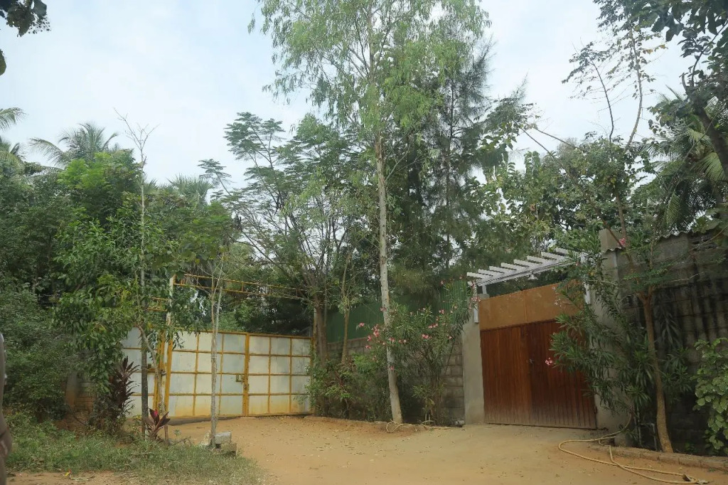 Auro farms